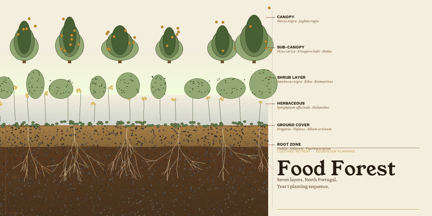 The Seven Layers: What We're Planting at Lusitano (and Why Now)